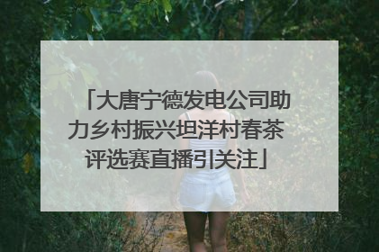 大唐宁德发电公司助力乡村振兴坦洋村春茶评选赛直播引关注