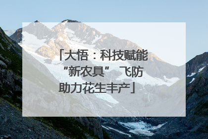 大悟：科技赋能“新农具” 飞防助力花生丰产