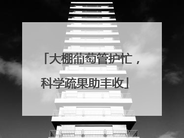 大棚葡萄管护忙，科学疏果助丰收