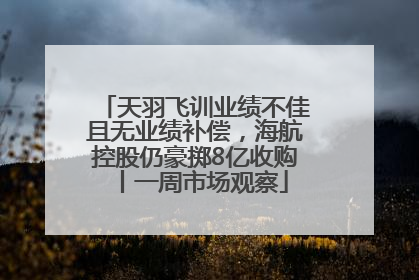 天羽飞训业绩不佳且无业绩补偿，海航控股仍豪掷8亿收购丨一周市场观察