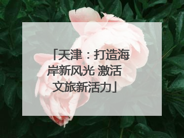 天津：打造海岸新风光 激活文旅新活力