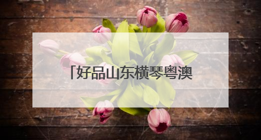 好品山东横琴粤澳深度合作区品牌出海中心正式启动