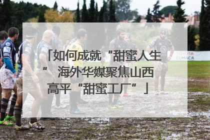 如何成就“甜蜜人生” 海外华媒聚焦山西高平“甜蜜工厂”