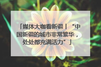 媒体大咖看新疆丨“中国新疆的城市非常繁华，处处都充满活力”