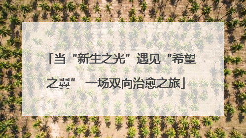 当“新生之光”遇见“希望之翼” 一场双向治愈之旅