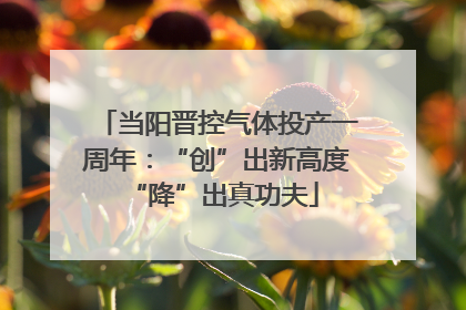 当阳晋控气体投产一周年：“创”出新高度 “降”出真功夫