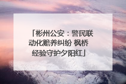 彬州公安：警民联动化赡养纠纷 枫桥经验守护夕阳红
