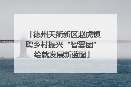 德州天衢新区赵虎镇聘乡村振兴“智囊团” 绘就发展新蓝图