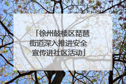 徐州鼓楼区琵琶街道深入推进安全宣传进社区活动
