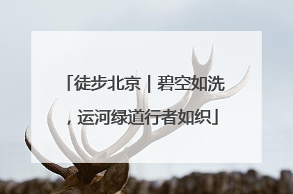 徒步北京｜碧空如洗，运河绿道行者如织