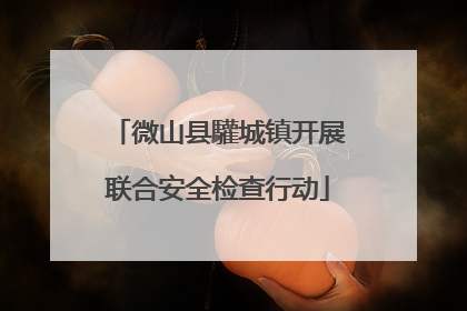 微山县驩城镇开展联合安全检查行动