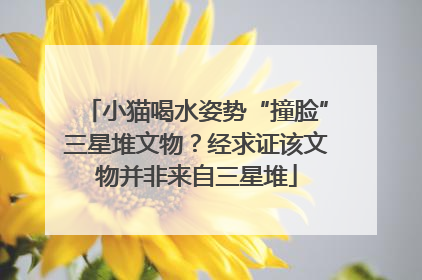 小猫喝水姿势“撞脸”三星堆文物？经求证该文物并非来自三星堆