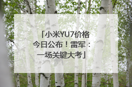 小米YU7价格今日公布！雷军：一场关键大考