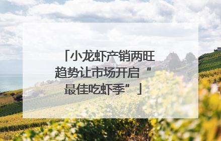 小龙虾产销两旺趋势让市场开启“最佳吃虾季”