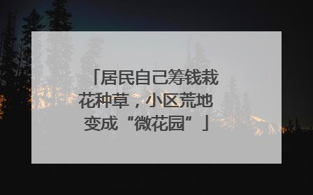 居民自己筹钱栽花种草，小区荒地变成“微花园”