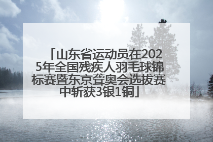 山东省运动员在2025年全国残疾人羽毛球锦标赛暨东京聋奥会选拔赛中斩获3银1铜