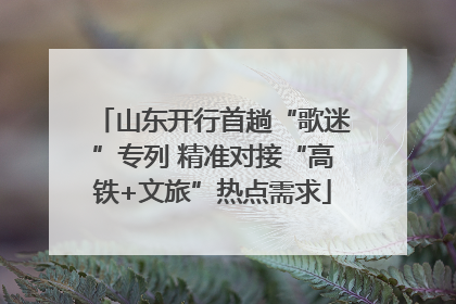山东开行首趟“歌迷”专列 精准对接“高铁+文旅”热点需求