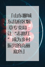 山东聊城东昌府区烟草专卖局：让“志愿红”成为乡村振兴的亮丽底色