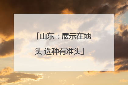山东：展示在地头 选种有准头