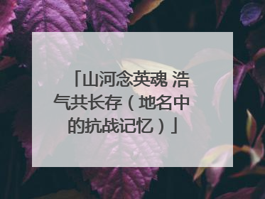 山河念英魂 浩气共长存（地名中的抗战记忆）