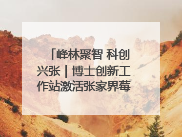 峰林聚智 科创兴张｜博士创新工作站激活张家界莓茶产业新动能