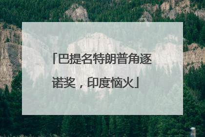 巴提名特朗普角逐诺奖，印度恼火