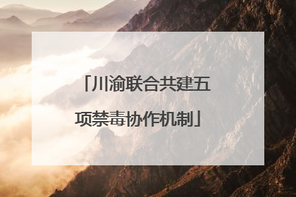 川渝联合共建五项禁毒协作机制