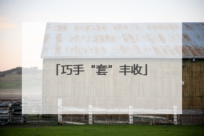 巧手“套”丰收