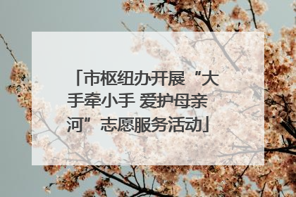 市枢纽办开展“大手牵小手 爱护母亲河”志愿服务活动