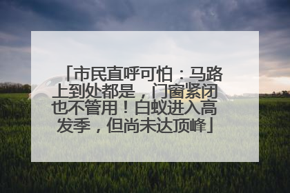 市民直呼可怕：马路上到处都是，门窗紧闭也不管用！白蚁进入高发季，但尚未达顶峰