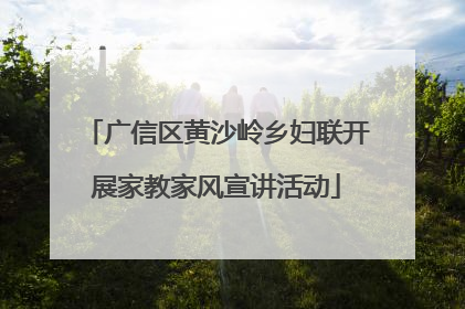 广信区黄沙岭乡妇联开展家教家风宣讲活动