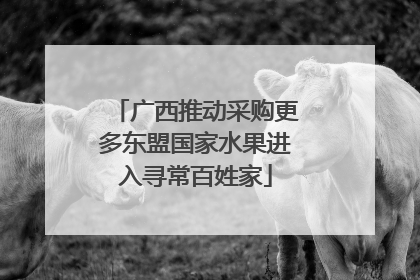 广西推动采购更多东盟国家水果进入寻常百姓家