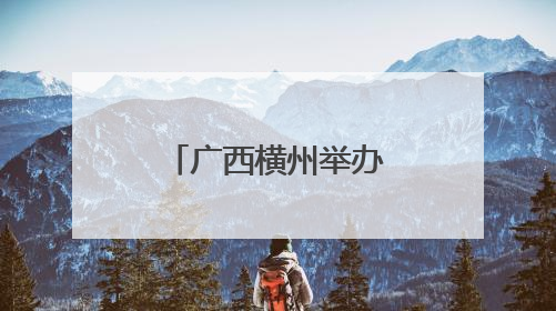广西横州举办峦城鱼生美食文化节 推动产业标准化发展