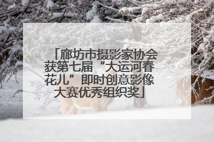 廊坊市摄影家协会获第七届“大运河春花儿”即时创意影像大赛优秀组织奖