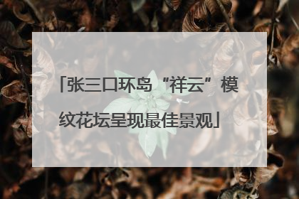 张三口环岛“祥云”模纹花坛呈现最佳景观