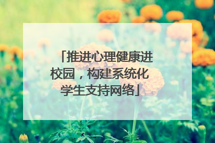 推进心理健康进校园，构建系统化学生支持网络
