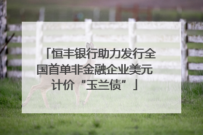 恒丰银行助力发行全国首单非金融企业美元计价“玉兰债”
