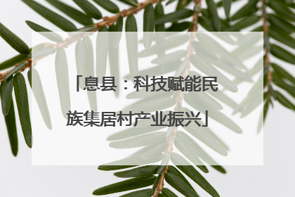 息县：科技赋能民族集居村产业振兴