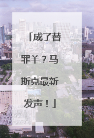 成了替罪羊？马斯克最新发声！
