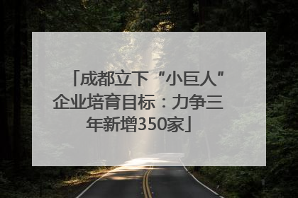 成都立下“小巨人”企业培育目标：力争三年新增350家