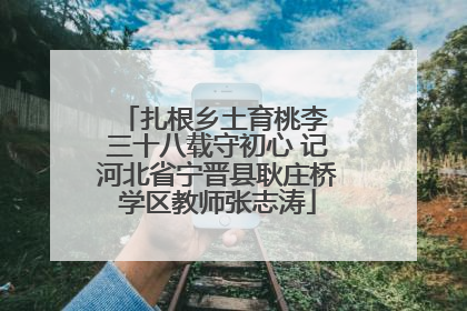 扎根乡土育桃李 三十八载守初心 记河北省宁晋县耿庄桥学区教师张志涛