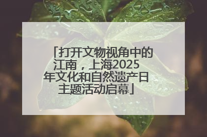 打开文物视角中的江南，上海2025年文化和自然遗产日主题活动启幕