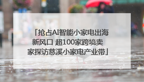 抢占AI智能小家电出海新风口 超100家跨境卖家探访慈溪小家电产业带