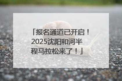 报名通道已开启！2025沈阳和河半程马拉松来了！