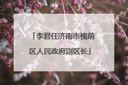 李君任济南市槐荫区人民政府副区长