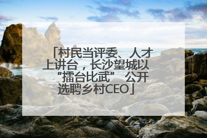 村民当评委、人才上讲台，长沙望城以“擂台比武” 公开选聘乡村CEO