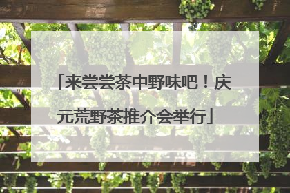 来尝尝茶中野味吧！庆元荒野茶推介会举行