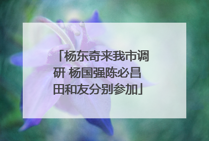 杨东奇来我市调研 杨国强陈必昌田和友分别参加