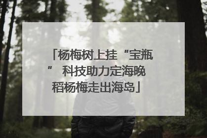 杨梅树上挂“宝瓶” 科技助力定海晚稻杨梅走出海岛