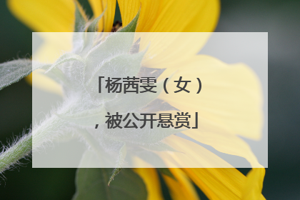 杨茜雯（女），被公开悬赏